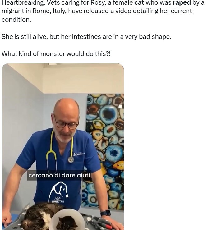 Screenshot 2026-04-02 131053.jpg